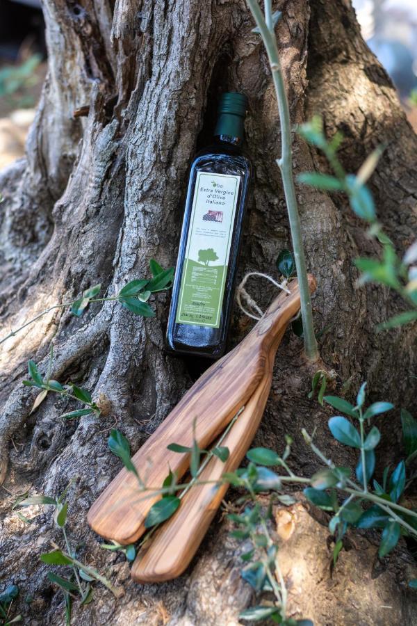 Agriturismo Colle Vento سوفيريتو المظهر الخارجي الصورة
