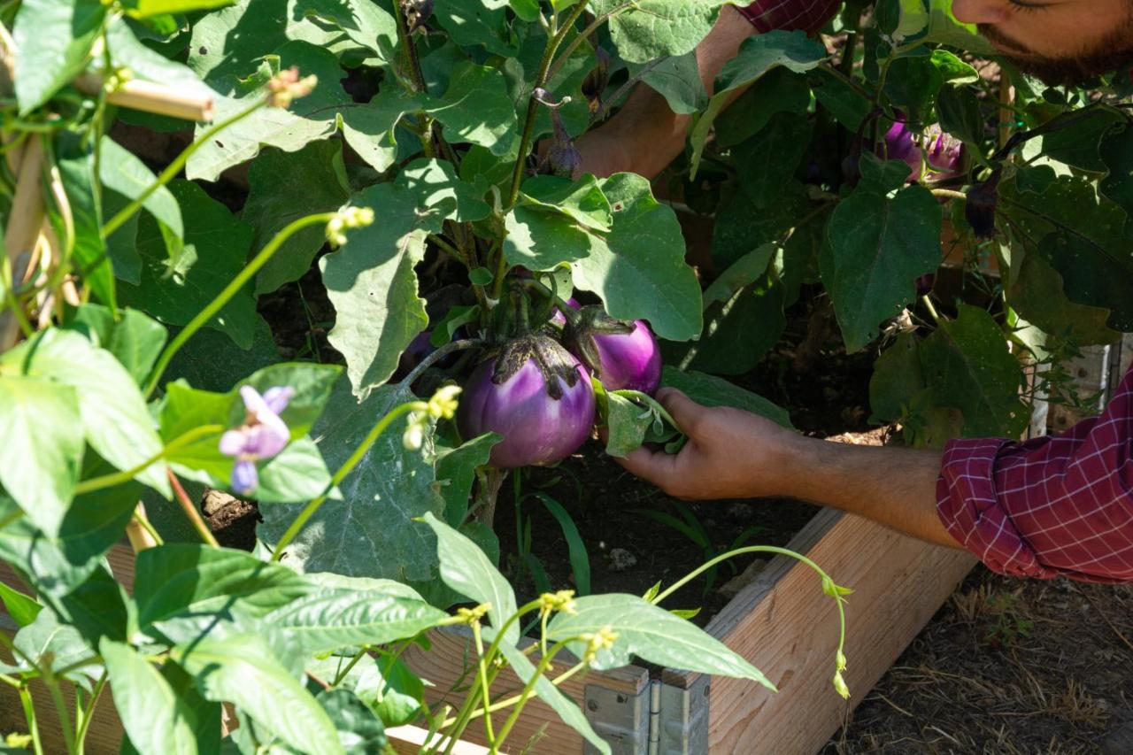 Agriturismo Colle Vento سوفيريتو المظهر الخارجي الصورة
