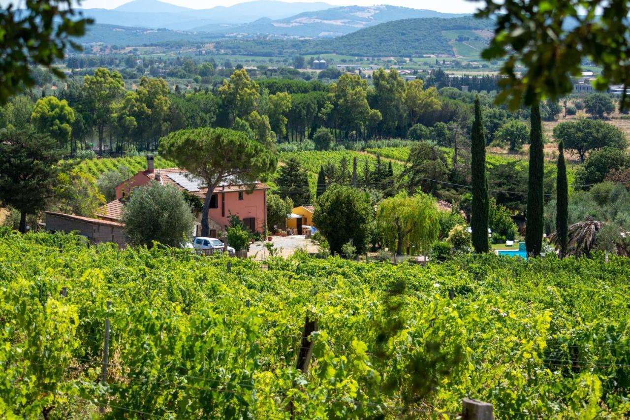 Agriturismo Colle Vento سوفيريتو المظهر الخارجي الصورة