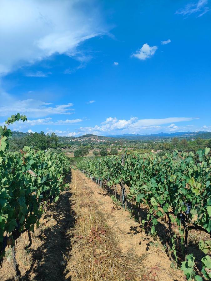 Agriturismo Colle Vento سوفيريتو المظهر الخارجي الصورة