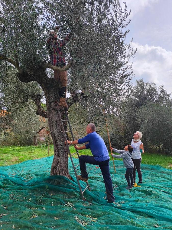 Agriturismo Colle Vento سوفيريتو المظهر الخارجي الصورة