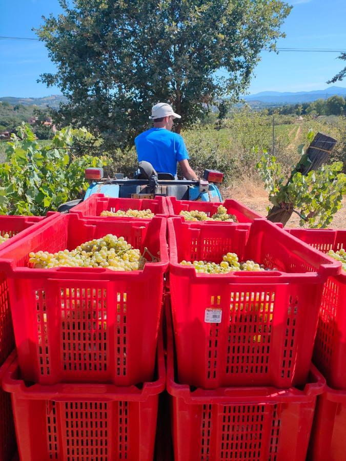 Agriturismo Colle Vento سوفيريتو المظهر الخارجي الصورة