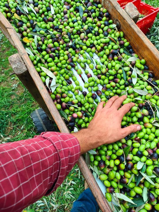 Agriturismo Colle Vento سوفيريتو المظهر الخارجي الصورة