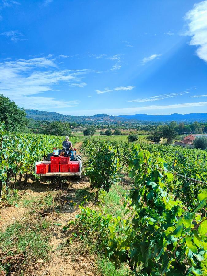 Agriturismo Colle Vento سوفيريتو المظهر الخارجي الصورة