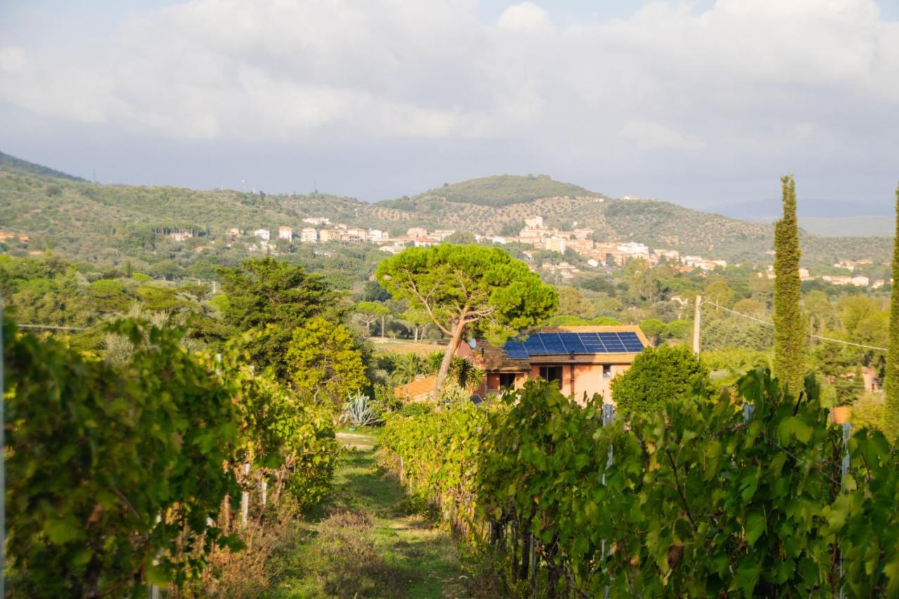 Agriturismo Colle Vento سوفيريتو المظهر الخارجي الصورة